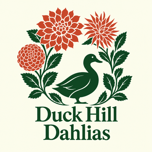 Duck Hill Dahlias